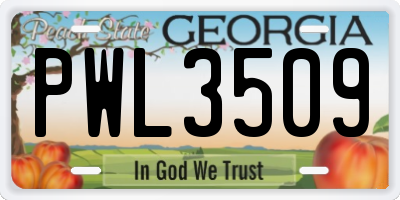 GA license plate PWL3509