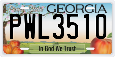 GA license plate PWL3510
