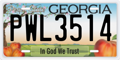 GA license plate PWL3514