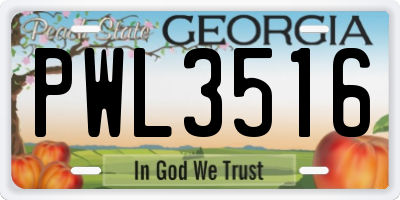 GA license plate PWL3516