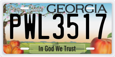 GA license plate PWL3517