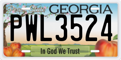 GA license plate PWL3524