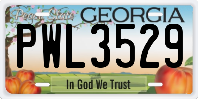 GA license plate PWL3529