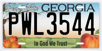 GA license plate PWL3544