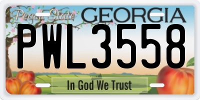 GA license plate PWL3558