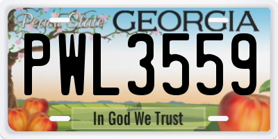 GA license plate PWL3559