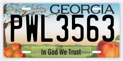 GA license plate PWL3563