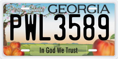 GA license plate PWL3589