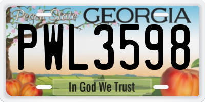 GA license plate PWL3598