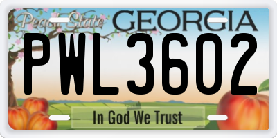 GA license plate PWL3602