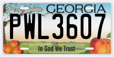 GA license plate PWL3607