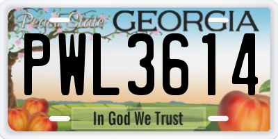 GA license plate PWL3614