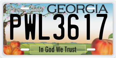 GA license plate PWL3617