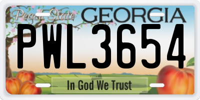 GA license plate PWL3654