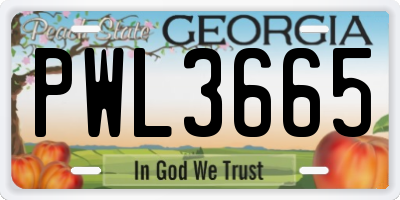 GA license plate PWL3665