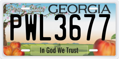 GA license plate PWL3677