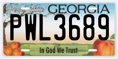 GA license plate PWL3689