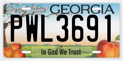 GA license plate PWL3691