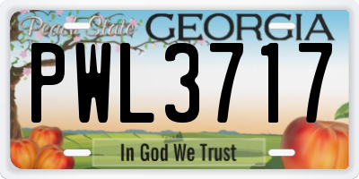 GA license plate PWL3717