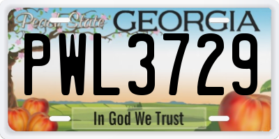 GA license plate PWL3729