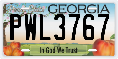 GA license plate PWL3767