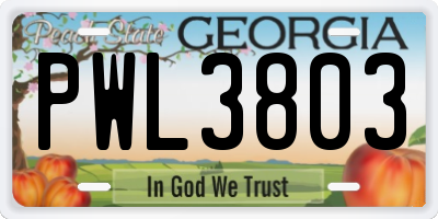 GA license plate PWL3803