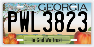 GA license plate PWL3823