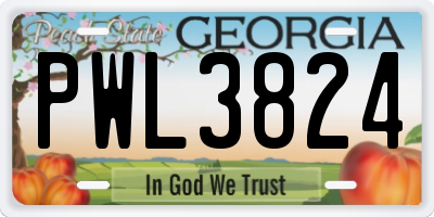 GA license plate PWL3824
