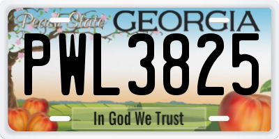 GA license plate PWL3825