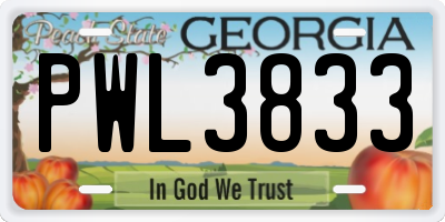 GA license plate PWL3833
