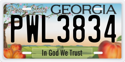 GA license plate PWL3834