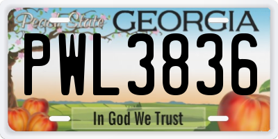 GA license plate PWL3836