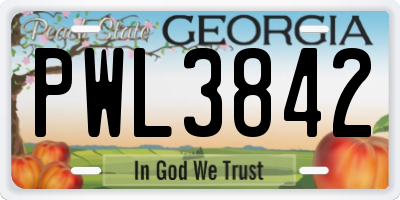 GA license plate PWL3842