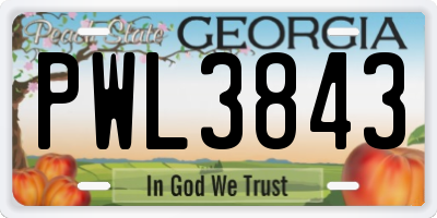 GA license plate PWL3843