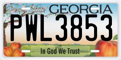 GA license plate PWL3853