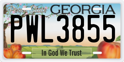 GA license plate PWL3855