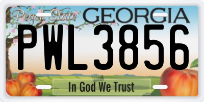 GA license plate PWL3856