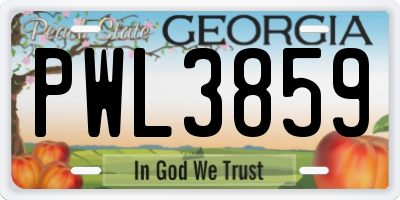 GA license plate PWL3859
