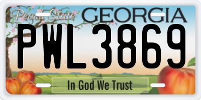 GA license plate PWL3869