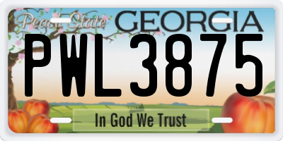 GA license plate PWL3875