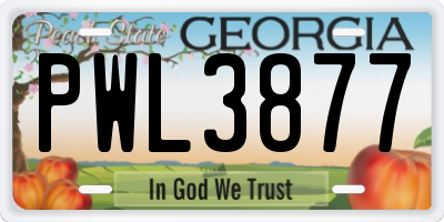 GA license plate PWL3877