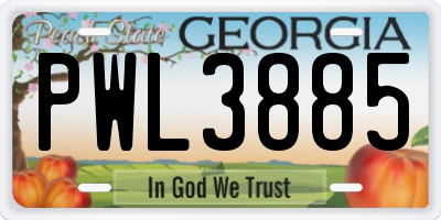 GA license plate PWL3885