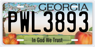 GA license plate PWL3893