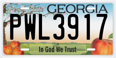 GA license plate PWL3917