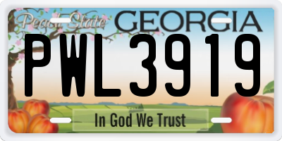 GA license plate PWL3919