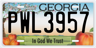 GA license plate PWL3957