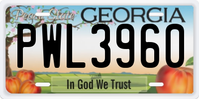 GA license plate PWL3960