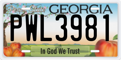 GA license plate PWL3981