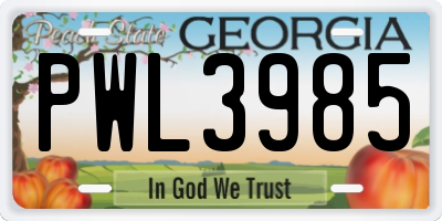 GA license plate PWL3985