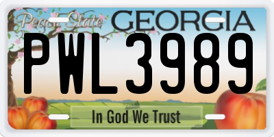 GA license plate PWL3989